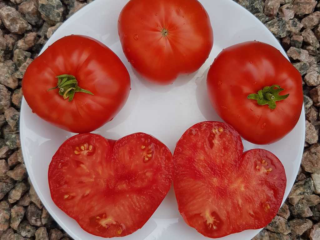 Minusinskij Jablochnyj 